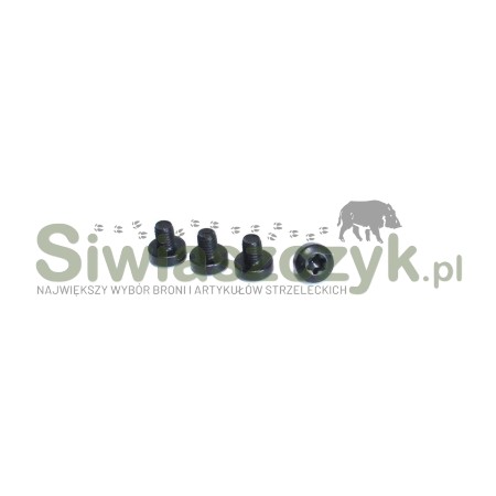 Śruby do montażu Aimpoint Micro M3x4 T10 (4 szt.) (11866)-158211