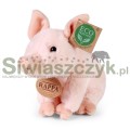Maskotka RAPPA Świnka 18cm-160540