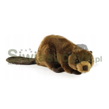 Maskotka RAPPA Bóbr 28cm-160556