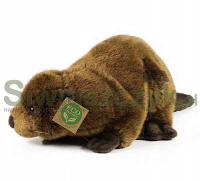 Maskotka RAPPA Bóbr 28cm-160557