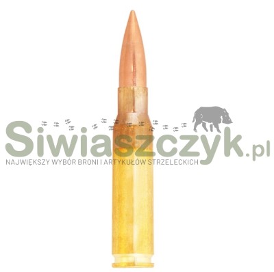 Amunicja LAPUA .308 Win. Lock Base Semi Auto 11g(170gr)-161127