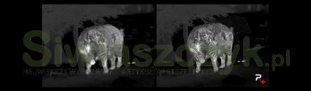 Luneta termowizyjna NOCPIX ACE H50R-ad00016597786b86772d22cfea3d4b13