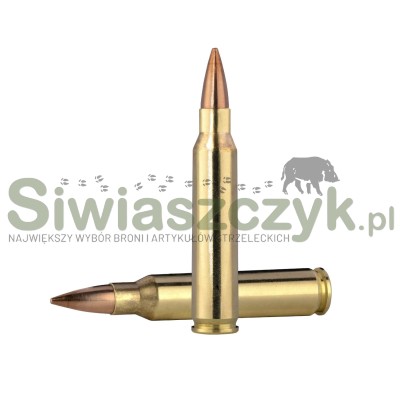Amunicja NORMA 223Rem Match HPBT Golden Target 5,0(77gr)-161744