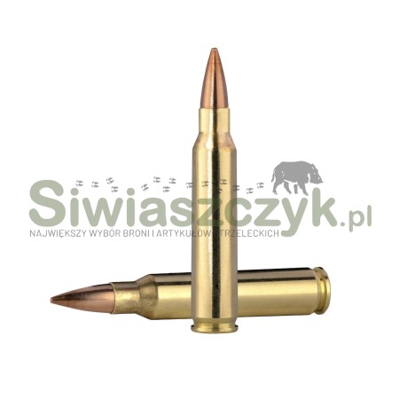 Amunicja NORMA 223Rem Match HPBT Golden Target 5,0(77gr)-161744