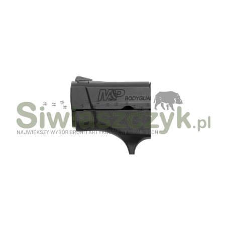 Pistolet S&W BG380 2 3/4'' kal.380Auto (10266)-100296