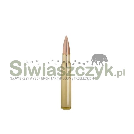 Amunicja WINCHESTER 223Rem FMJ 3,56g(55gr)-161987