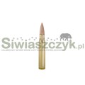 Amunicja WINCHESTER 223Rem FMJ 3,56g(55gr)-161987
