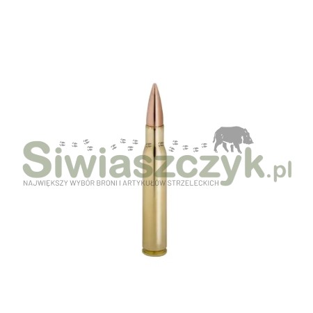 Amunicja WINCHESTER 223Rem FMJ 3,56g(55gr)-161987