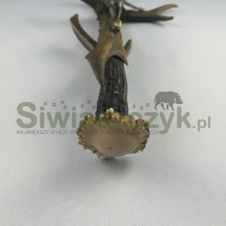 Krzyżyk z poroża-106962