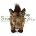 Maskotka RAPPA guziec 36cm-165352