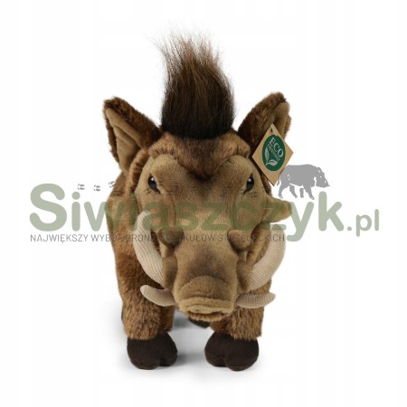 Maskotka RAPPA guziec 36cm-165352