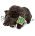 Maskotka RAPPA Dzik 20cm-165361