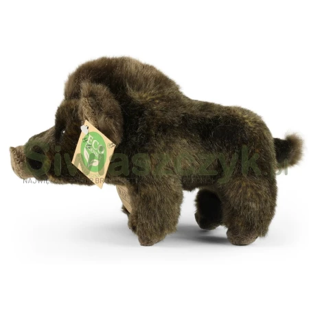 Maskotka RAPPA Dzik 20cm-165362