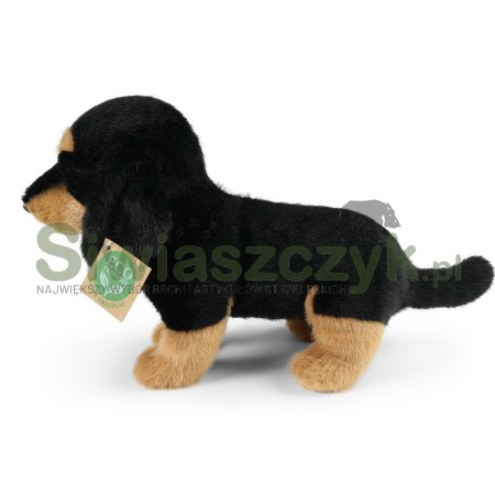 Maskotka RAPPA Jamnik 23cm-165364