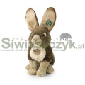 Maskotka RAPPA Zając 30cm-165373