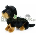 Maskotka RAPPA Jamnik szorstkowłowy 30cm-165375