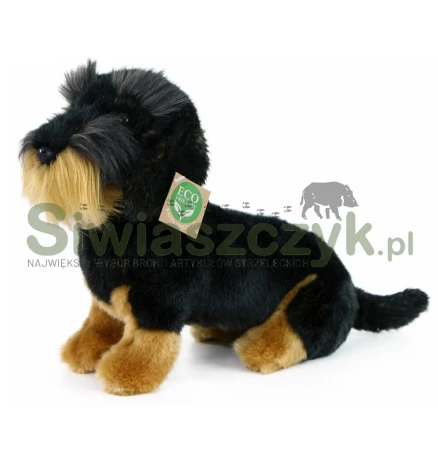 Maskotka RAPPA Jamnik szorstkowłowy 30cm-165375