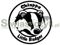 Karabinek CHIAPPA Little Badger kal.22Lr-112075