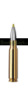 Amunicja RWS .308 Win. EVO GREEN 8,8g(136gr)-eafd38456113a3e12a9c46cf5413942f