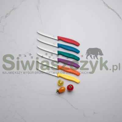 Nóż VICTORINOX czerwony (6.7831)-165897