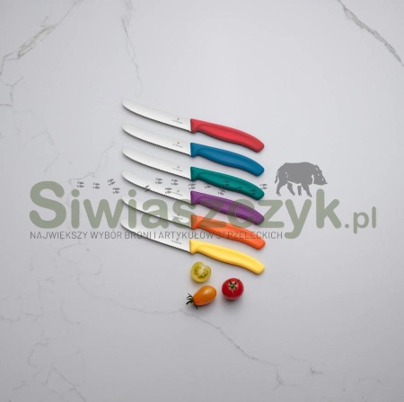 Nóż VICTORINOX czerwony (6.7831)-165897