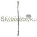 Zawieszenie WBP GAMMA 2 punktowe Coyote (WBP TEX 003 COY)-165971