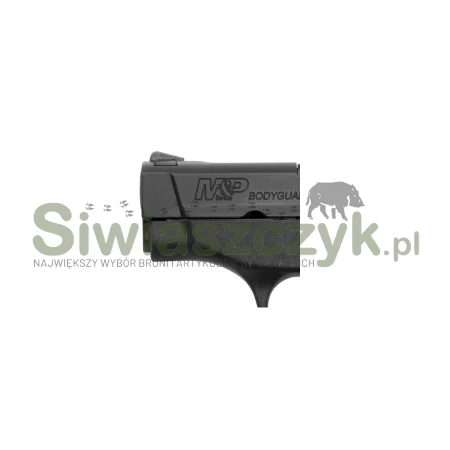 Pistolet S&W BG380 2 3/4'' kal.380Auto (10266)-100296