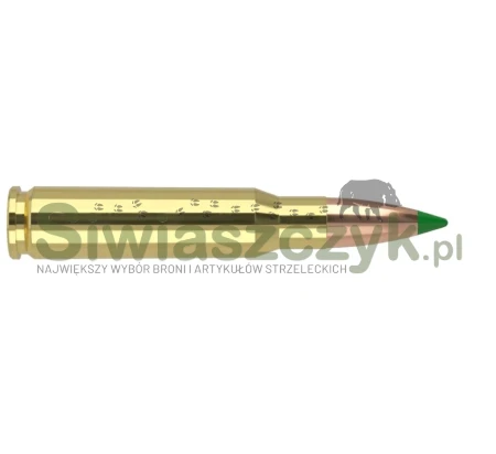 Amunicja NOSLER 30-06 Ballistic Tip 11,7g(180gr) (40072)-166439