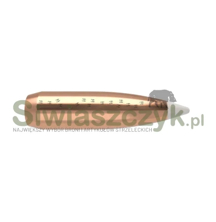 Pociski NOSLER .30 AccuBond 10,7g(165gr) (55602)-166512