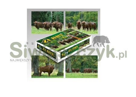 Układanka/Puzzle - Żubry (4x54)-166721