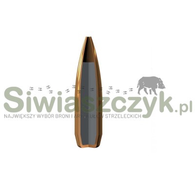 Amunicja WINCHESTER 308 Win. Boat Tail Match 10,89g(168gr)-166726