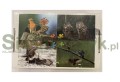 Układanka/Puzzle - Ptaki (4x54)-166728