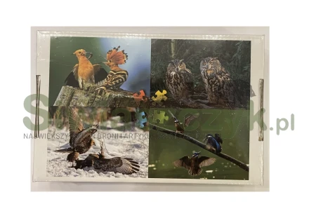 Układanka/Puzzle - Ptaki (4x54)-166728