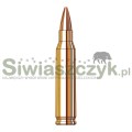 Amunicja HORNADY 223Rem Frontier - BTHP - 4,41g / 68gr - FR160-166968