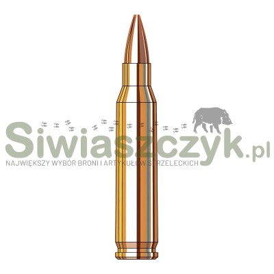 Amunicja HORNADY 223Rem Frontier - BTHP - 4,41g / 68gr - FR160-166968
