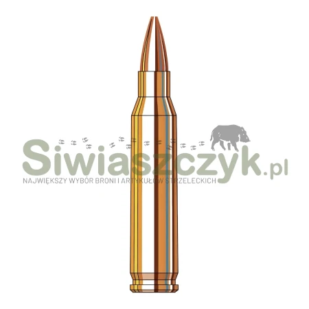 Amunicja HORNADY 223Rem Frontier - BTHP - 4,41g / 68gr - FR160-166968