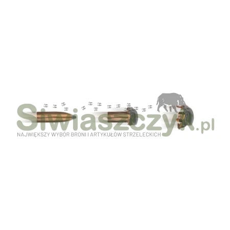 Amunicja RWS 5,6x52R - TM - 4,6g / 71gr-167113