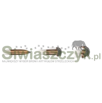 Amunicja RWS 6,5x54 - TM - 10,3g / 159gr-167198