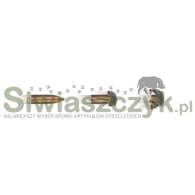 Amunicja RWS 7mm Rem.Mag. - TMS - 9,4g / 145gr-167117