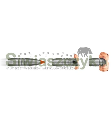 Amunicja RWS 8x57JS - HIT - 10,4g / 160gr-167195