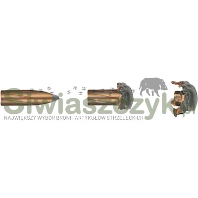 Amunicja GECO .243 Win. - Soft Point / Teilmantel - 6,8g / 105gr-167213