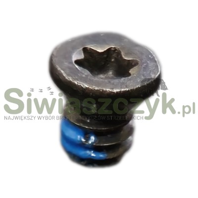 Śruba HS PRODUKT do pokrywy maskującej zamka ECHELON - 6-32x5,05mm - E82640-01-167247