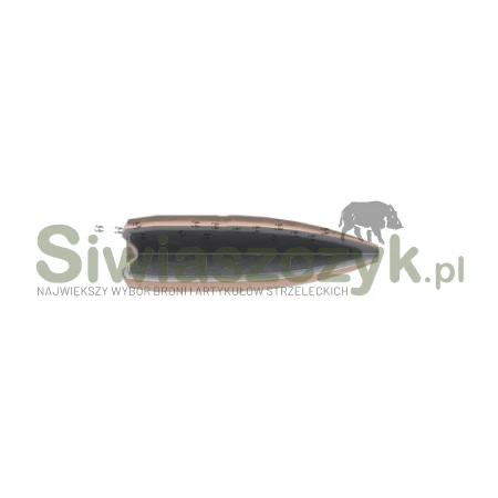 Amunicja kulowa SWISSP DEFENCE AG .223 Rem DS-1 - FMJ - 3,56g / 55gr-167318