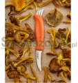Nóż na grzyby MARTTIINI Mushroom knife Ruska - z pędzelkiem - 709015-167417