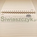Dziennik strzelań PWS-111734